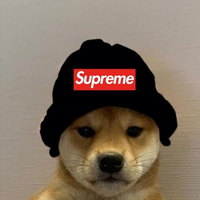 User Name
