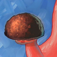 arockyrock