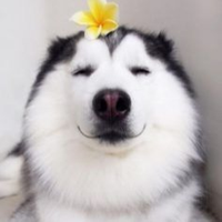 EeJeeEe