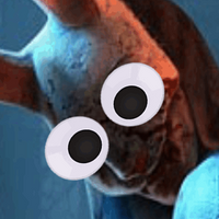 Ninyayokai