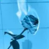 bluqt