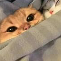 MyNameIsMiranda