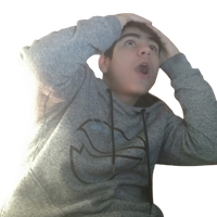 gavaropairee
