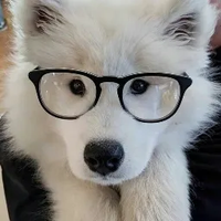 Llama77