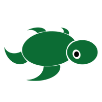 TurtleJunior30