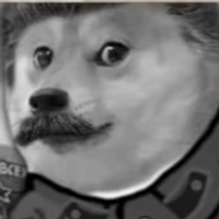 KBONE 100