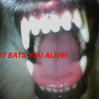 iTz_Levii
