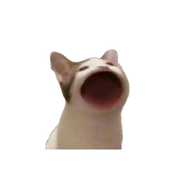 PericoElLoro