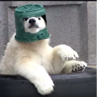 ItsUggyMan
