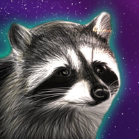 localraccoon