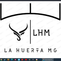 M16V3L