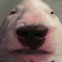 ca_llum