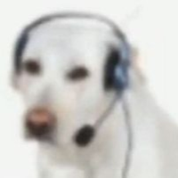 JuanSkull223
