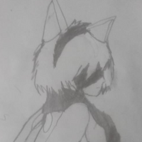 saruraiii