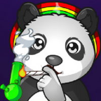 Dombear420