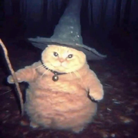 ElPinchiGatoXD