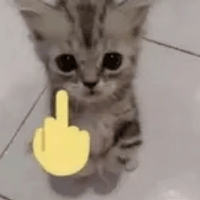 JagerKatzen