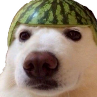 Zizidu77