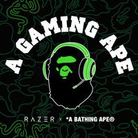 AyeZootedZay