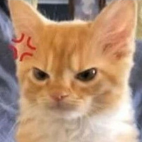 fenc
