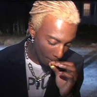 XDsalad