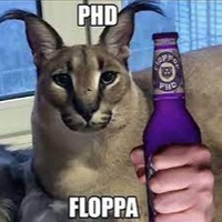 PhdFloppa