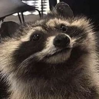 KatheG