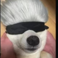 Doc 12