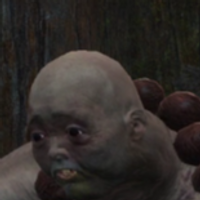Kositakioss