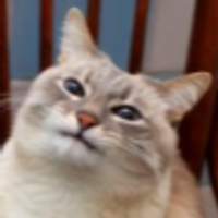 Wobs