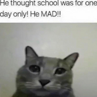 jeiigh