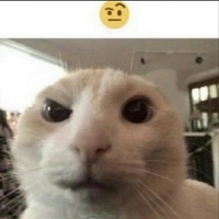 NamikazeFx