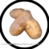 vinduskeygen