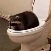 VoidRaccoon42