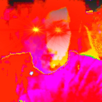 FredTheFuckHead