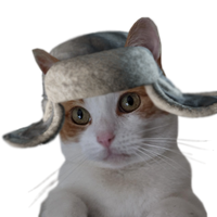 Scav_Cat