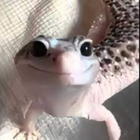 prefirobleckdops