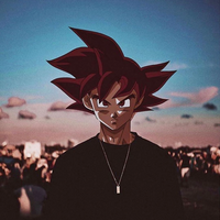 Kxo_213