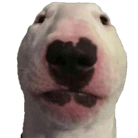 Strokerface