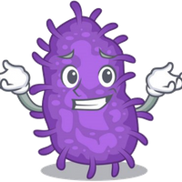 Arkadez