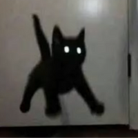 Leonardow