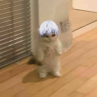 AiseuBoba