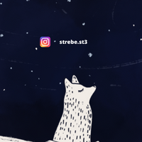 ig-strebe.st3
