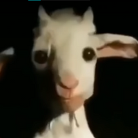tino10mil