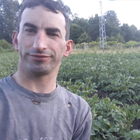 Rubenchus18