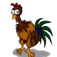 PoloGalego