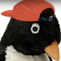 lokendopipo