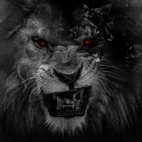 PREDATOR_10