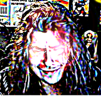 Shogunnez