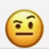 vagina 2